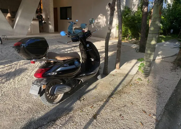 Apartment Spacious And Comfortable Ph With Private Pool In Zama Tulum
